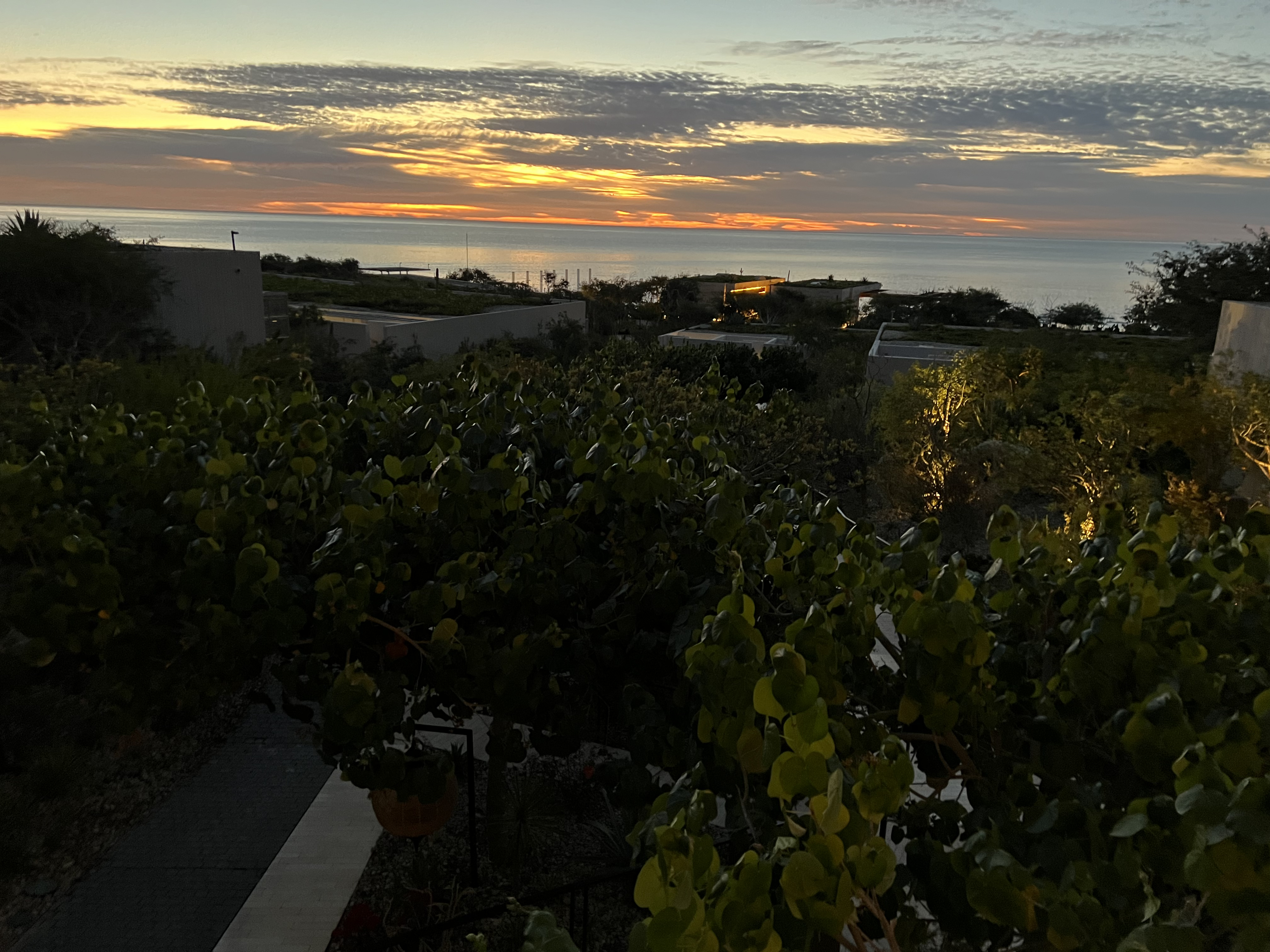 ./2024/13 - Cabo/IMG_4235.jpg